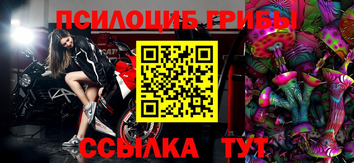 закладки  Псилоцибиновые грибы мухоморы  Вход с VPN  Кандалакша 
